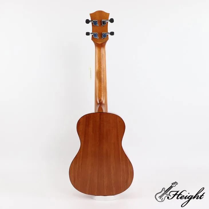Electric Ukulele Concert